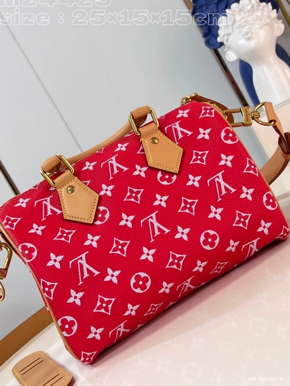 Aaa replica bags SPEEDY Vuitton Louis 25 0729